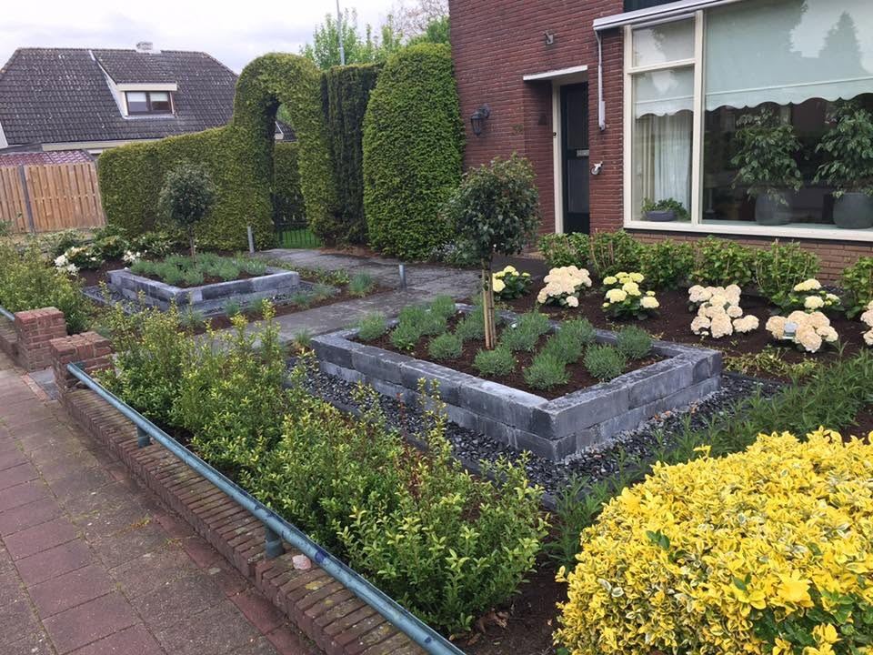 Moderne zwarte plantvakken met vaste planten in een achtertuin