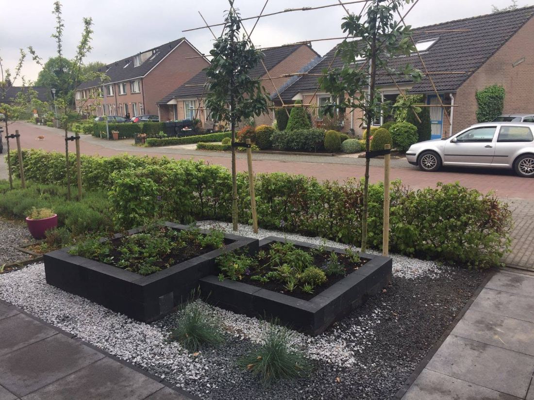 Strakke voortuin met verhoogde plantvakken, grind en jonge bomen